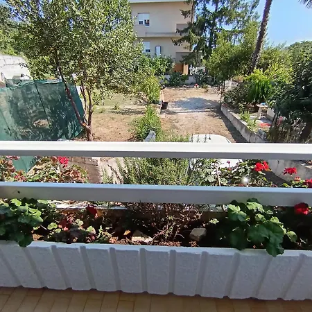 Casamarco Pescara